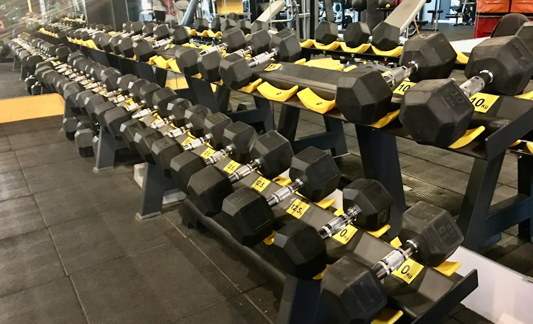Free Weights Area